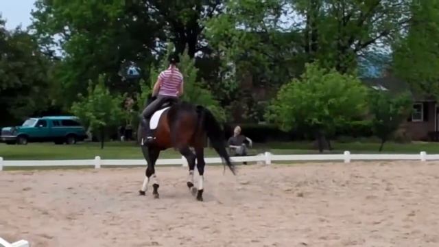 Bravo 5/13/2012 смотреть онлайн