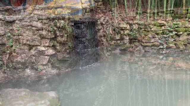 Сочи парк смотреть онлайн