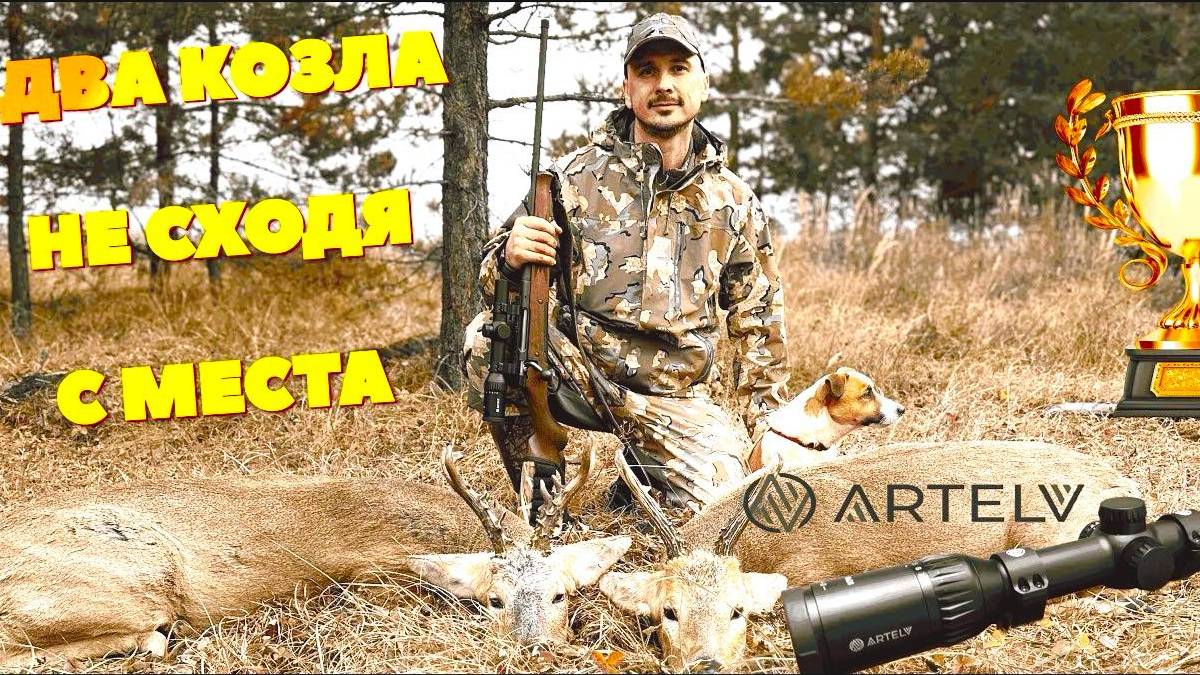 ДВА КОЗЛА С ОДНОГО МЕСТА, смотреть онлайн