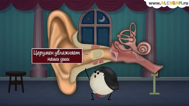Что такое ушная сера? смотреть онлайн