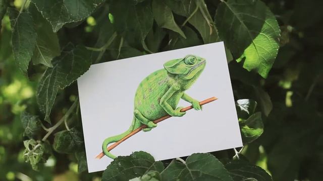A letter to a friend | Mail Art | Тропическое лето смотреть онлайн