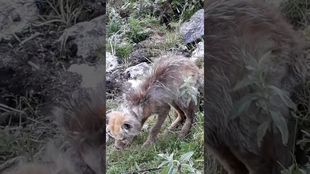 20 августа 2020 г. смотреть онлайн