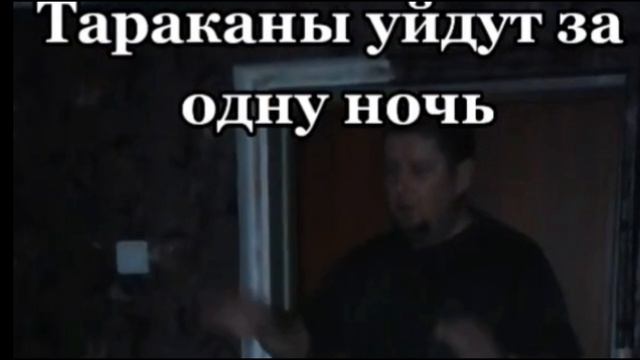 Как избавиться от тараканов за одну ночь.