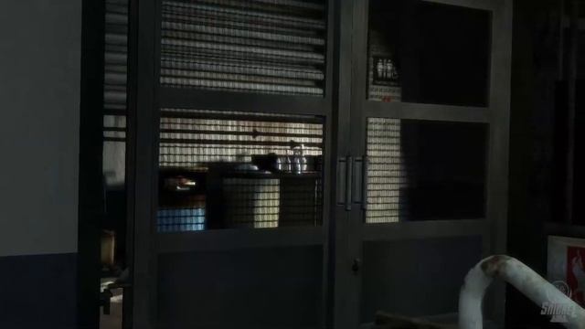 Max Payne 3 | The One Eyed Man Is King Trophy Guide смотреть онлайн