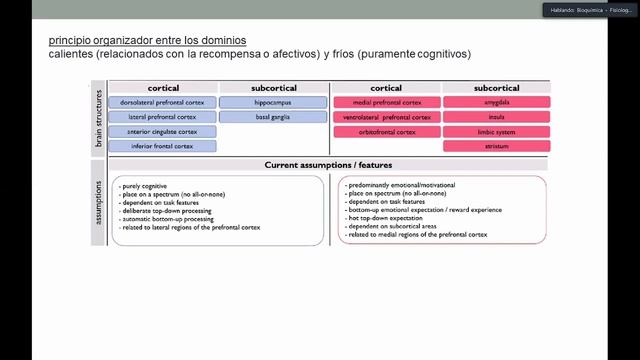 Teórico UT10-11 (5) Sistema cognitivo-conductual смотреть онлайн