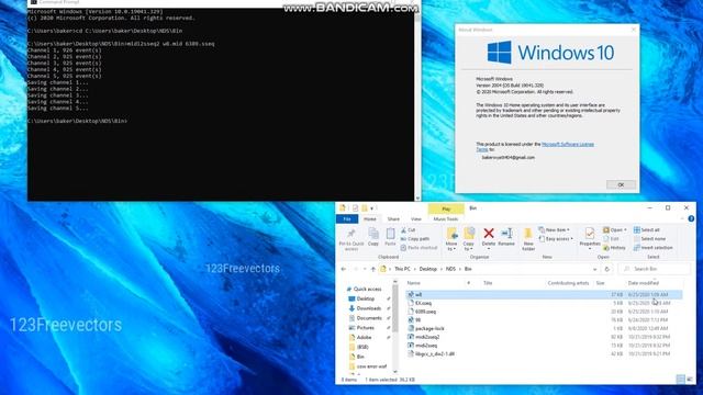 Testing CMD on a Windows 10 Version 2004 (DS Hacking) смотреть онлайн