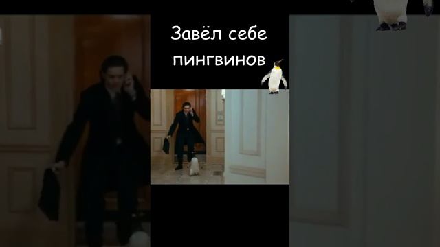 🐧Пингвины мистера Поппера 🐧 #shots #ksufilm #shjorts #jimcarrey #пингвины #комедия #смотреть #топ смотреть онлайн