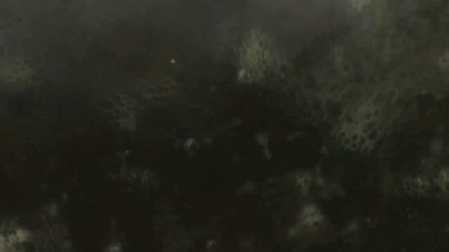 Metro Exodus Sam's Story/Метро Исход История Сема/#2 смотреть онлайн