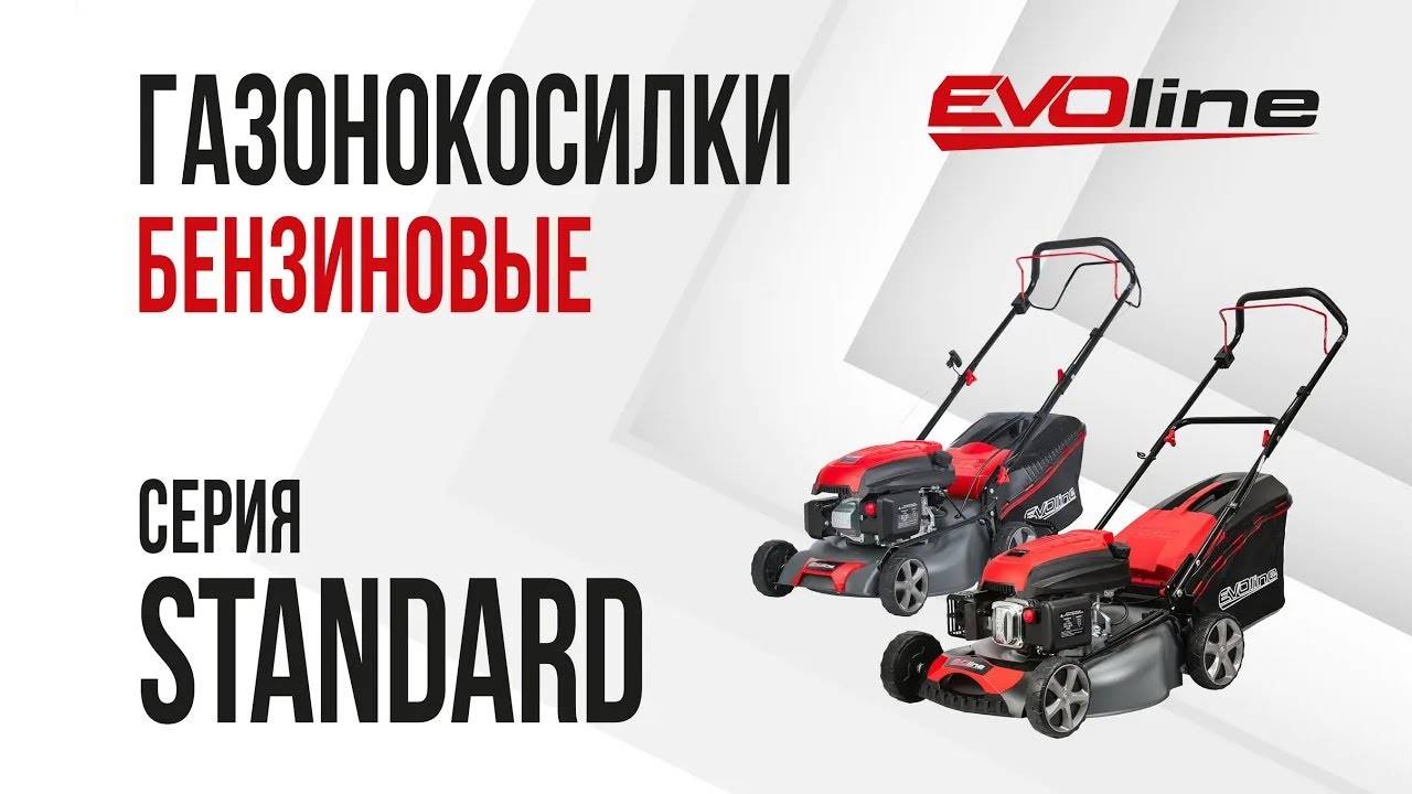 Бензиновые газонокосилки EVOline серия STANDARD смотреть онлайн