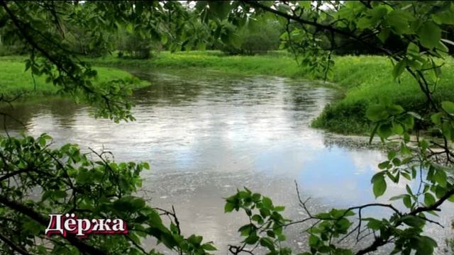 ПВВД - 2020 смотреть онлайн