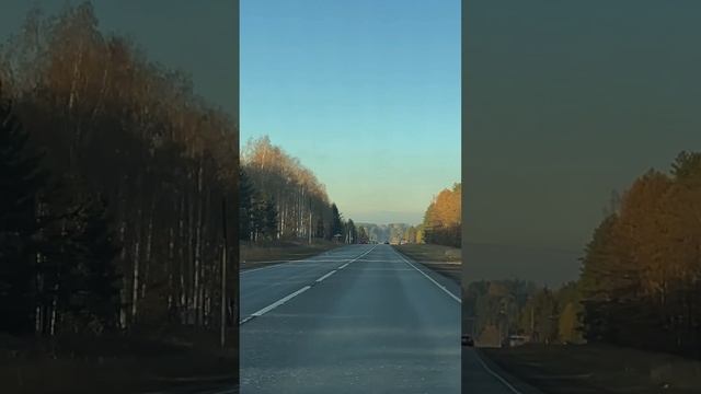 Хитрая Лиса