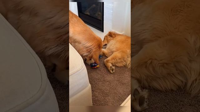 идеальная кража смотреть онлайн