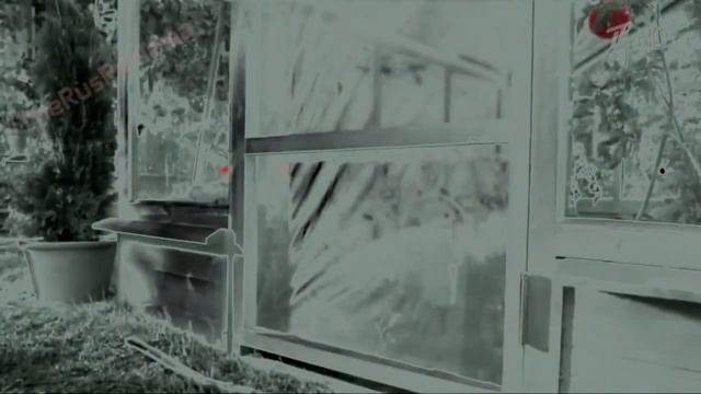 Аdvertising Реклама Китикет Kitekat Борис поймал пчелу In G Major 4 смотреть онлайн