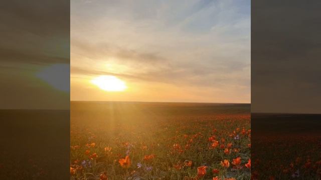 Смена парадигмы смотреть онлайн