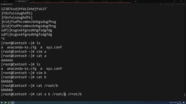 12 Linux文件管理之cat命令使用 смотреть онлайн