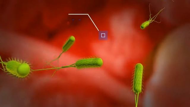 Stress Tongue Syndrome Adrenal, Gut & Thyroid смотреть онлайн