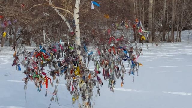 Семей Игорь Ким остров прогулка. Памятник. смотреть онлайн