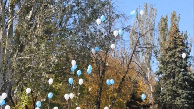 РРДМОО "Содружество детей и молодёжи Дона" смотреть онлайн