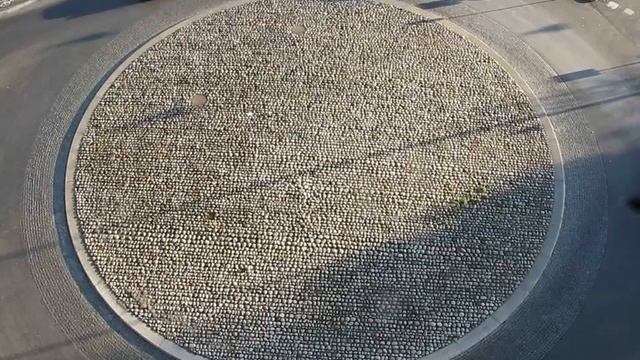 Skansbron смотреть онлайн