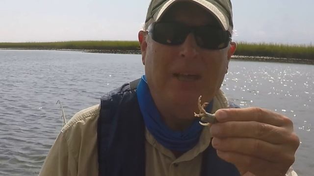 Fishing Tip on How to Rig Fiddler Crab while Kayak Fishing смотреть онлайн