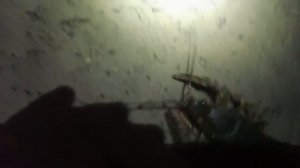 Ночная рыбалка на Дону