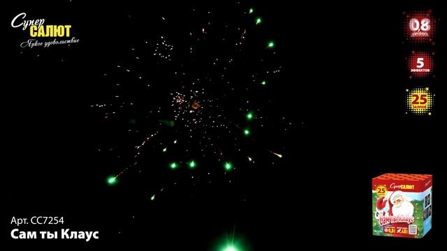 СС7254_2024 смотреть онлайн