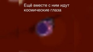 2 часть идеи для обновления Вайлд Крафт