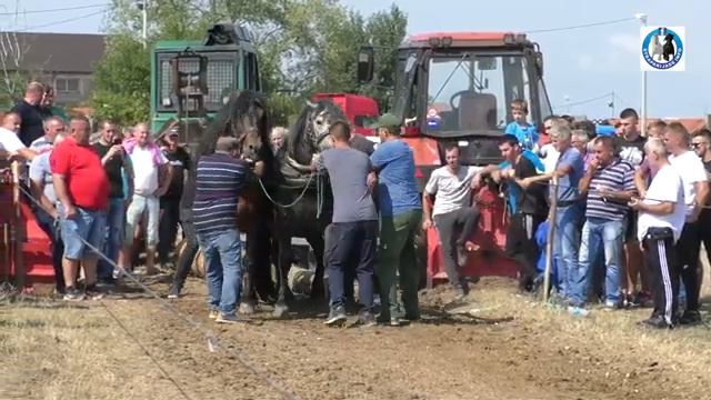 straparijada смотреть онлайн