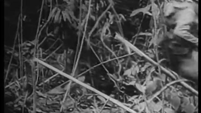 Charles Coolidge, Medal of Honor, WWII смотреть онлайн