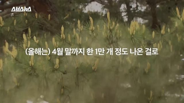 강한 자만이 살아남는 2100년, 원인은 꽃가루입니다 / 스브스뉴스 смотреть онлайн