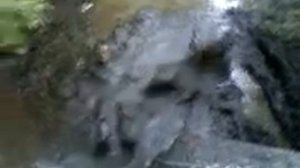 Люди валяются в грязи