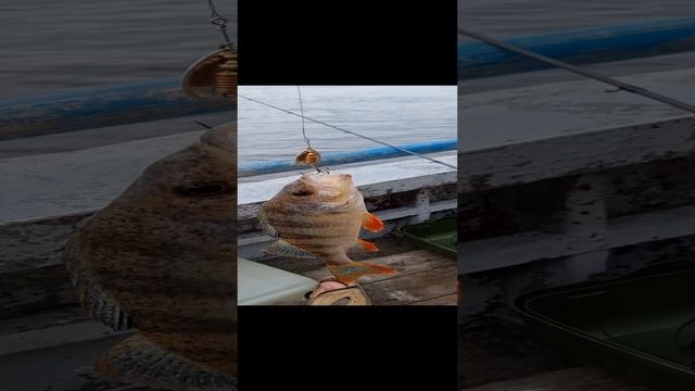 Окунище смотреть онлайн