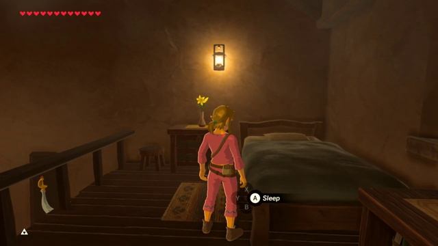 Legend of Zelda: BotW - Pink Link 250 Subscribers! WOW! Thank You Contest!! #TeamPinkLink!! смотреть онлайн