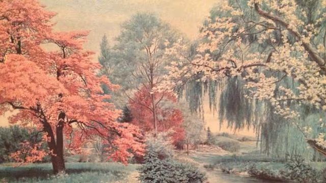 Vivaldi - The Four Seasons: Spring - Antonio Vivaldi Classical Music смотреть онлайн