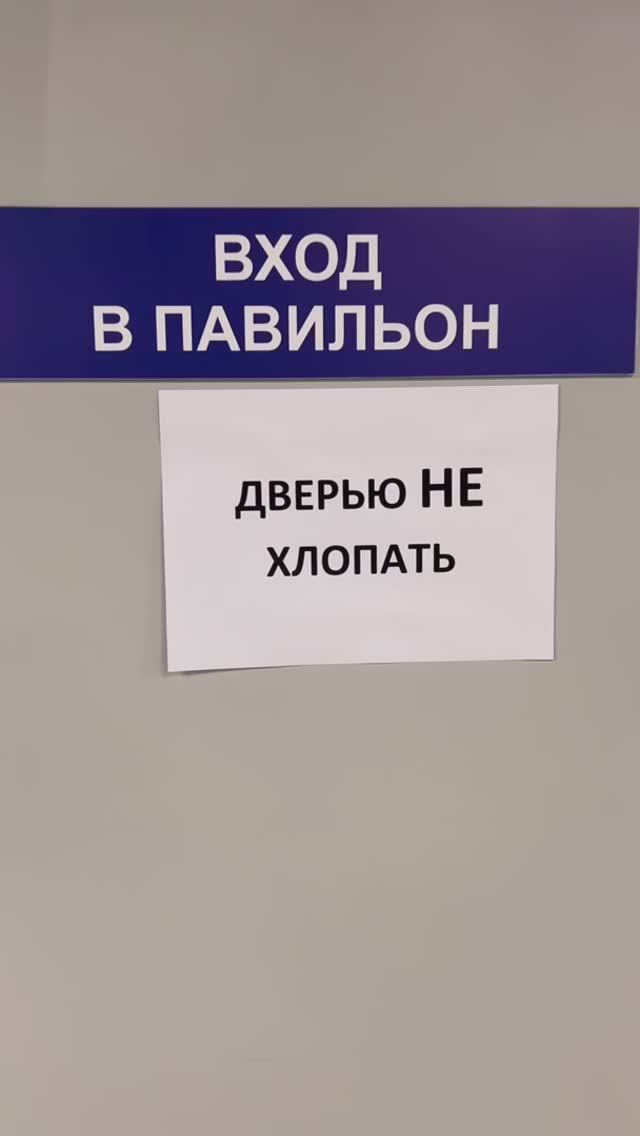 Закулисье программы "Хорошие песни" - страшные вещи: все поют и плящут 😄#добронравов #варвара смотреть онлайн
