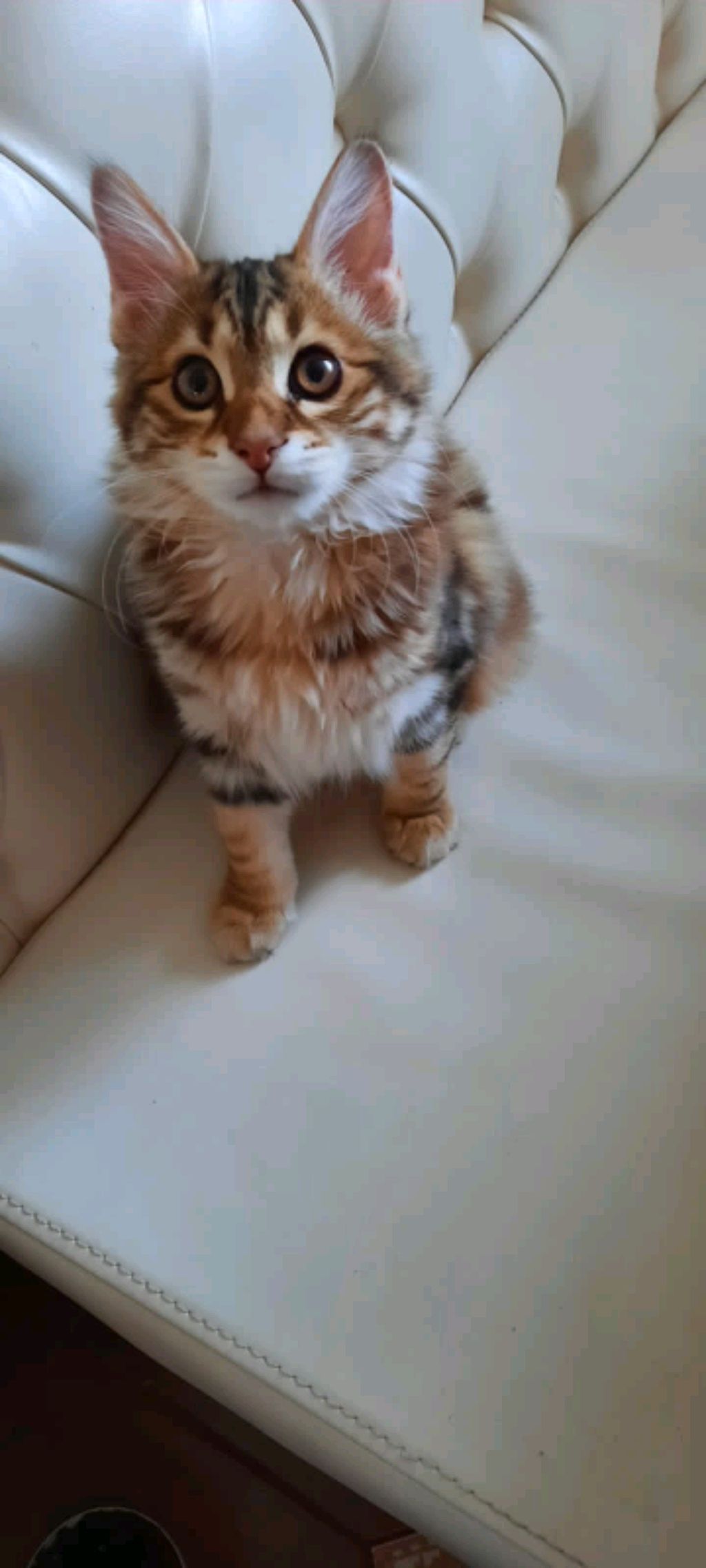 просто люблю играть в РБ