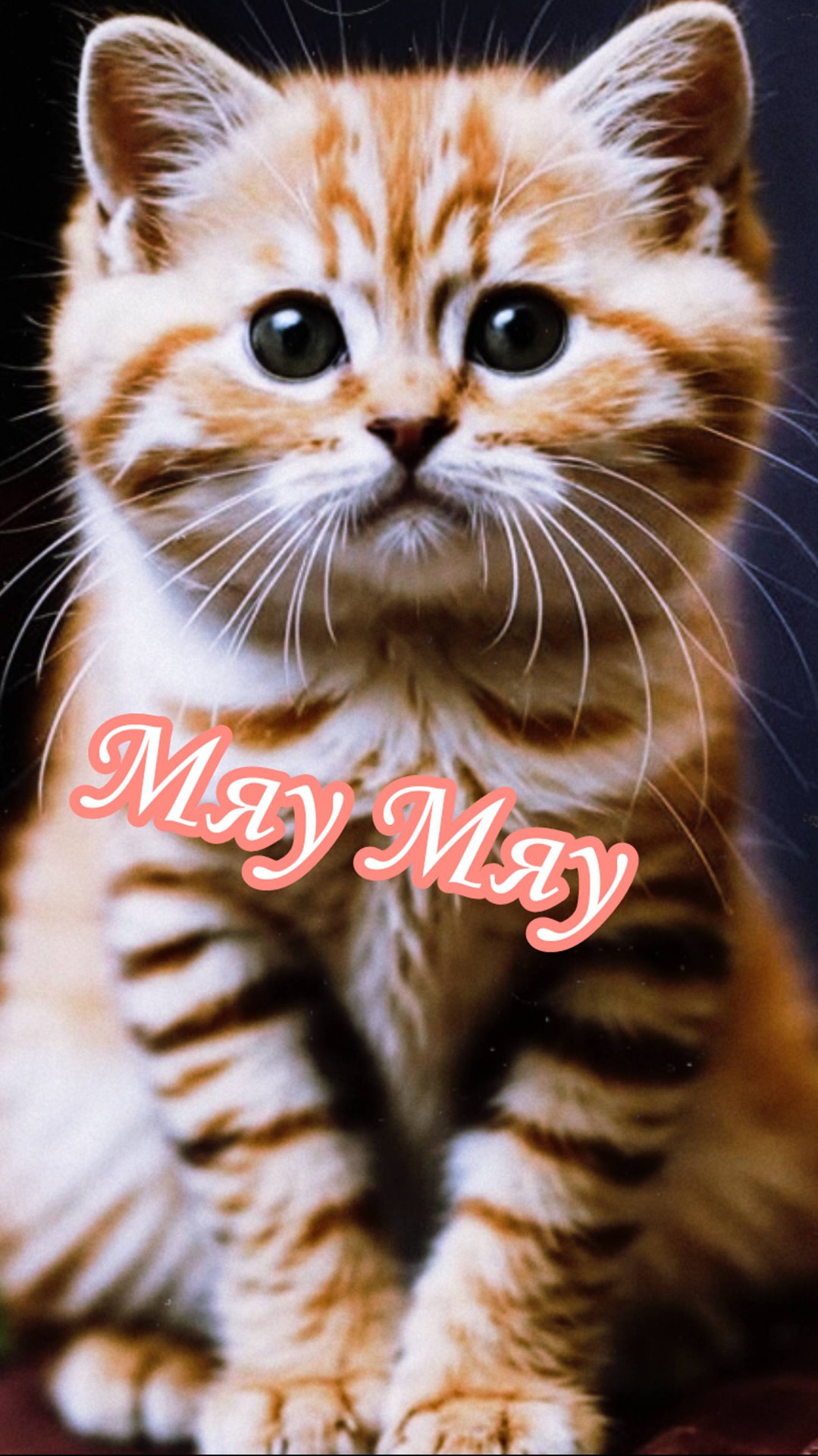 НейроКотики Мяу Мяу #shorts #cats #meow #котики #котенок #мяумяу смотреть онлайн
