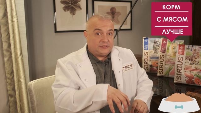 Правила подбора корма для животных смотреть онлайн