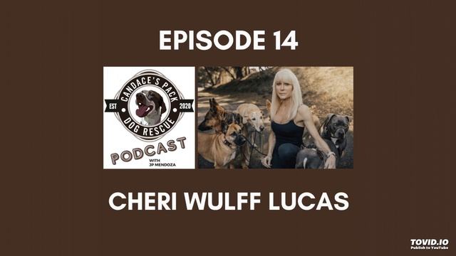 Candace’s Pack Dog Rescue Show - Episode 14 - Cheri Wulff Lucas - May 3, 2021 смотреть онлайн
