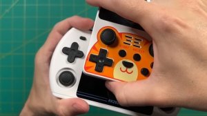 PowKiddy RK2023 Review: Great Starter Handheld ($75)