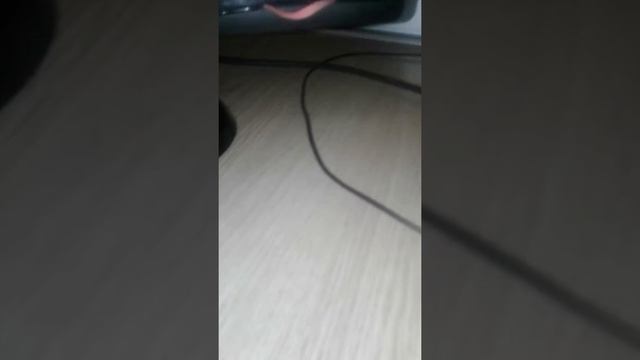 2018 привидение часть два. смотреть онлайн