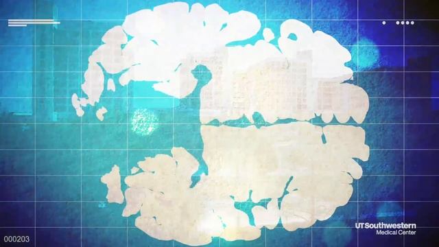 Researchers unlock new window into human memory смотреть онлайн