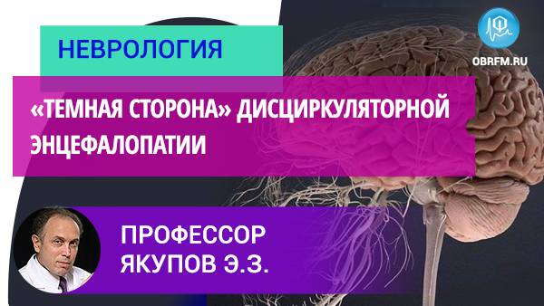Профессор Якупов Э.З.: «Темная сторона» дисциркуляторной энцефалопатии смотреть онлайн
