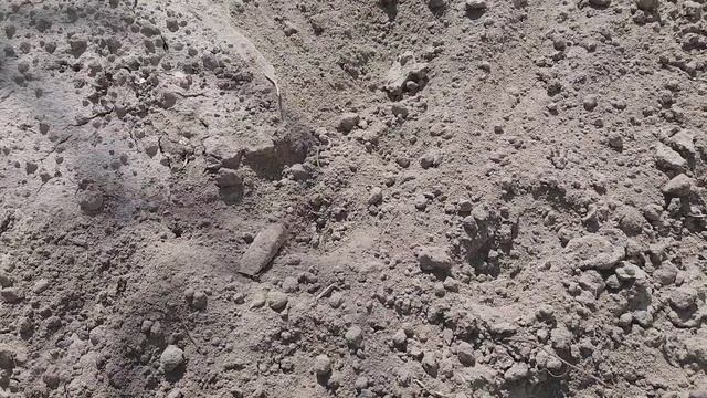 ПОСАДИЛИ КЛУБНИКУ /БОРЬБА С ЛЕНЬЮ/Видео №742 смотреть онлайн