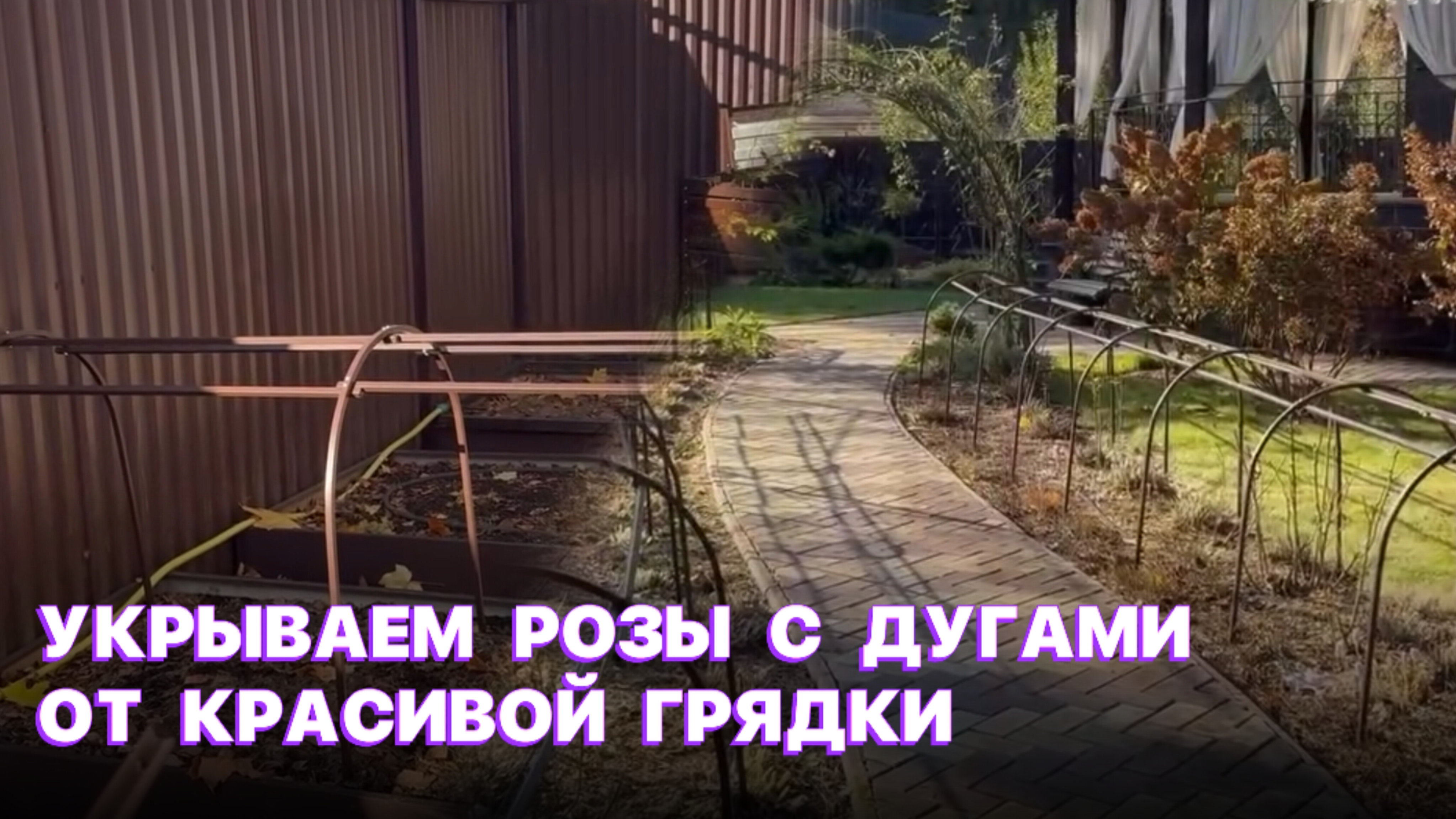 Укрываем розы с дугами от Красивой грядки смотреть онлайн