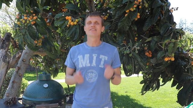 West Coast Phystech Reunion - Sat, Apr 21, 2018 (Приглашение от Андрея Титова)