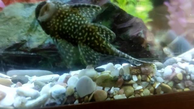 Приятности от мужа смотреть онлайн