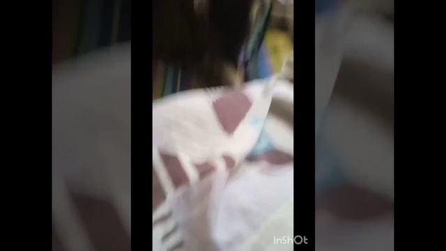 бывает у пикабушников стресс смотреть онлайн
