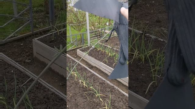 Теплица часть 4.. Дача как хобби. смотреть онлайн
