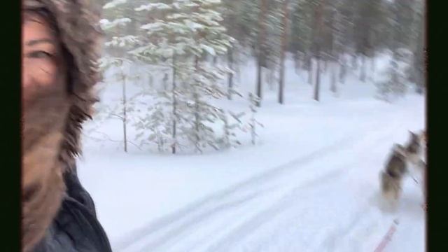 My GoPro Video смотреть онлайн